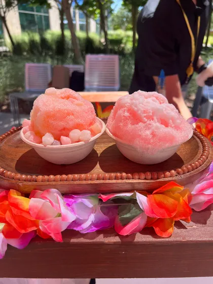 Two Hawaiian shave ices with tropical flower lei